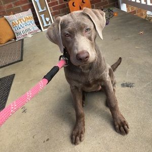 Meet your Posher, Kendra